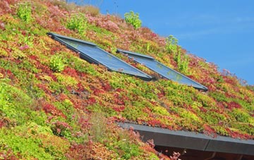 Horbury Junction living roof systems